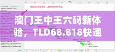 澳门王中王六码新体验，TLD68.818快速解答方案实践版