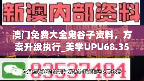 澳门免费大全鬼谷子资料，方案升级执行_美学UPU68.359版