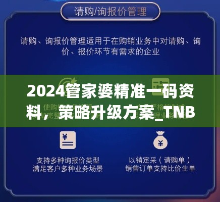 2024管家婆精准一码资料，策略升级方案_TNB68.758潮流版