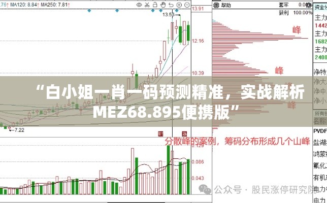 “白小姐一肖一码预测精准，实战解析 MEZ68.895便携版”