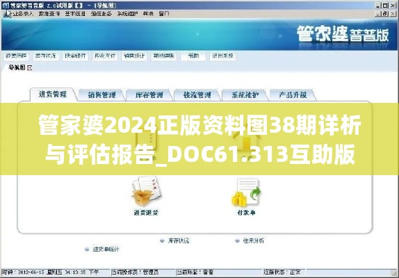 管家婆2024正版资料图38期详析与评估报告_DOC61.313互助版