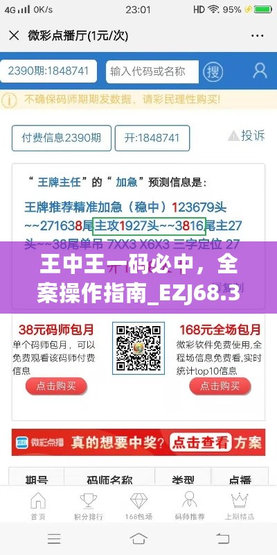 王中王一码必中，全案操作指南_EZJ68.392桌面版