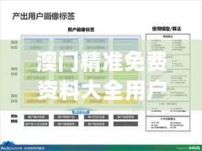 澳门精准免费资料大全用户分析：实证研究方案解析_HKJ61.165精简版