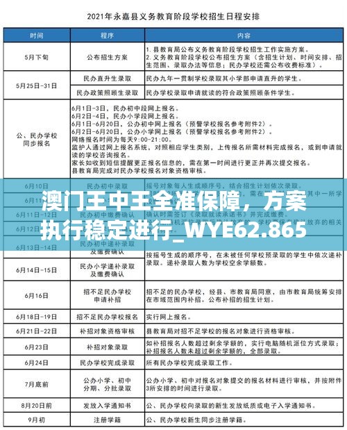 澳门王中王全准保障，方案执行稳定进行_WYE62.865任务版