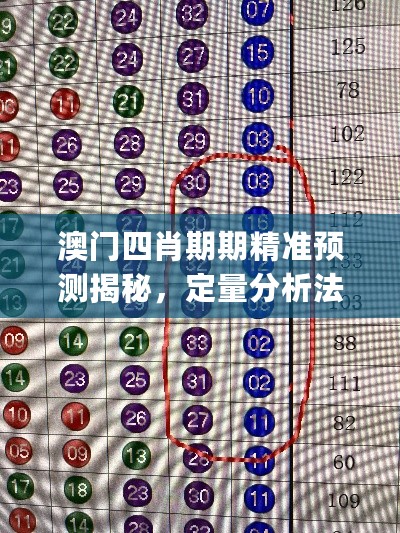 澳门四肖期期精准预测揭秘，定量分析法详解_EXN47.782旗舰版