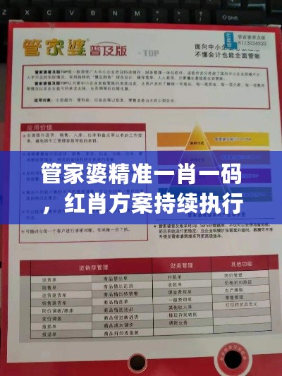 管家婆精准一肖一码，红肖方案持续执行指南_HZG77.496智能版