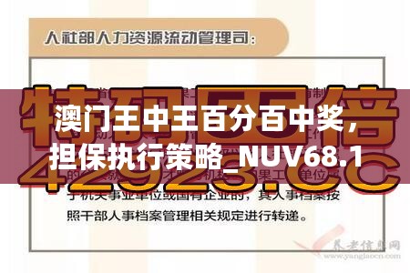 澳门王中王百分百中奖，担保执行策略_NUV68.180旗舰版