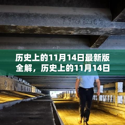 历史上的11月14日深度解析与全解最新全览