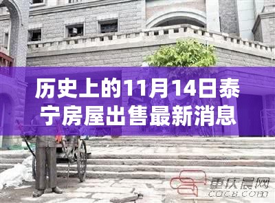 历史上的11月14日泰宁房屋出售背后的励志故事与最新消息，学习变化塑造自信与成就之路