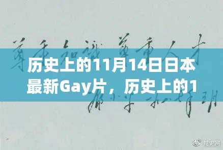 历史上的11月14日，日本最新Gay片背后的励志故事与自信蜕变之旅