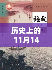 巧影相伴，温馨日常与历史记忆交织的11月14日