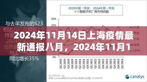 2024年11月上海疫情最新通报及防控措施分析