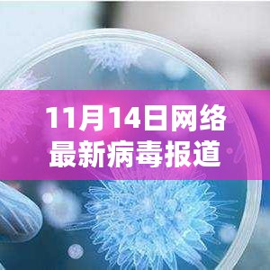 最新网络病毒深度解析与应对策略，11月14日报道