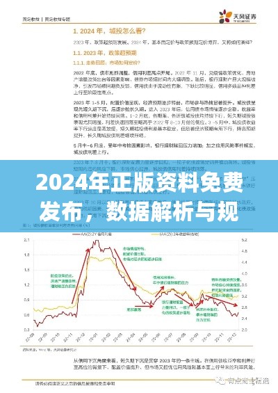 2024年正版资料免费发布，数据解析与规划_QVS35.681目击版