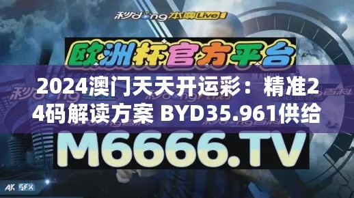 2024澳门天天开运彩：精准24码解读方案 BYD35.961供给版