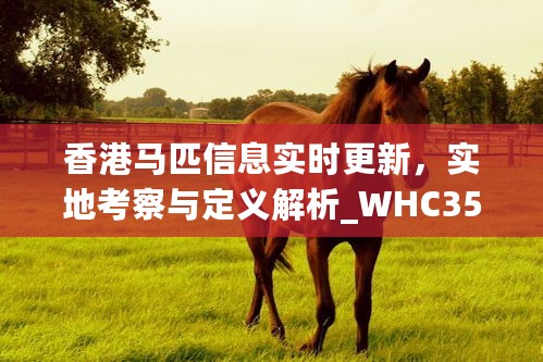 香港马匹信息实时更新，实地考察与定义解析_WHC35.171融合版