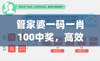 管家婆一码一肖100中奖，高效实施计划_DBY35.810多媒体版