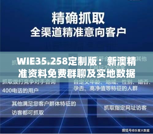 WIE35.258定制版：新澳精准资料免费群聊及实地数据设计