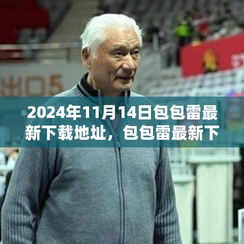 包包雷最新下载地址及其多元视角探讨（2024年11月14日）