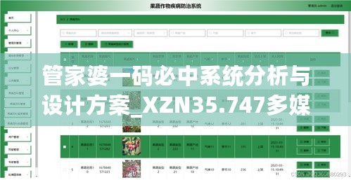 管家婆一码必中系统分析与设计方案_XZN35.747多媒体版