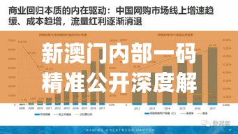 新澳门内部一码精准公开深度解析_XVL35.635云技术版