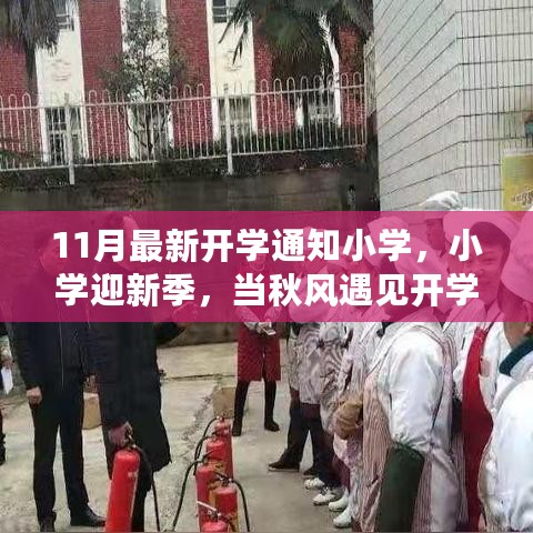 小学迎新季，秋风中的开学梦通知