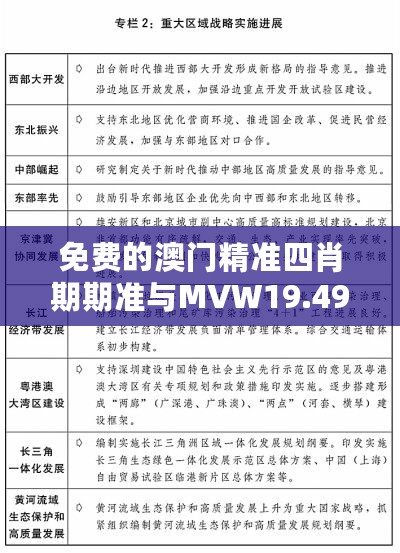 免费的澳门精准四肖期期准与MVW19.492活力版实施计划优化