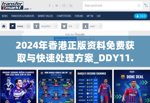 2024年香港正版资料免费获取与快速处理方案_DDY11.202共享版