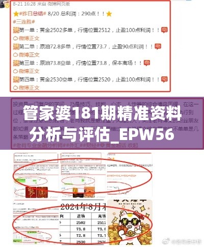 管家婆181期精准资料分析与评估_EPW56.217共鸣版