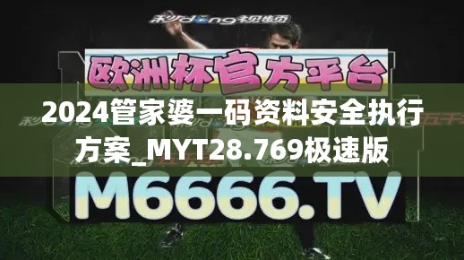 2024管家婆一码资料安全执行方案_MYT28.769极速版