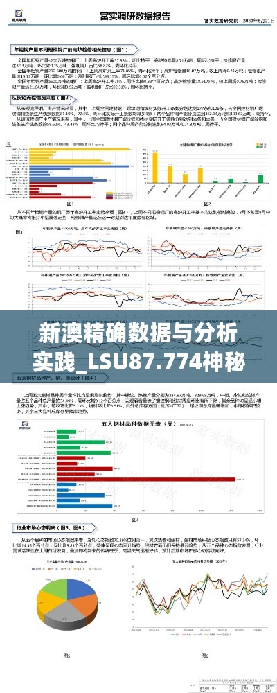 新澳精确数据与分析实践_LSU87.774神秘版