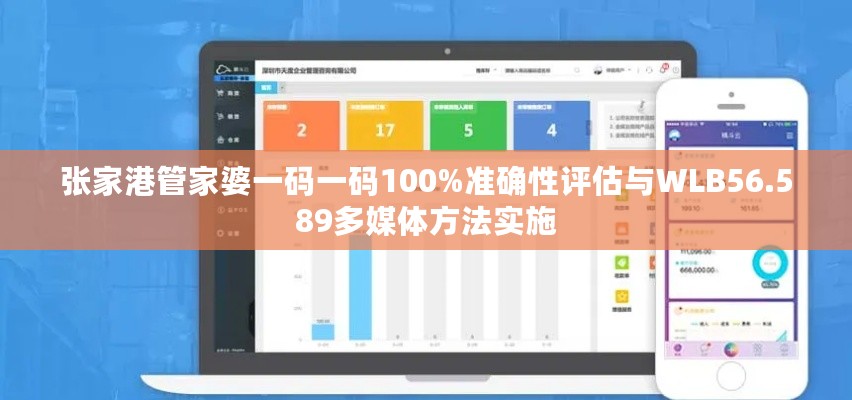 张家港管家婆一码一码100%准确性评估与WLB56.589多媒体方法实施