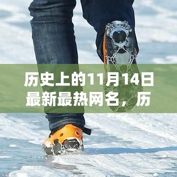 探寻历史日期最热网名背后的自然美景之旅，11月14日与1月14日回顾与展望