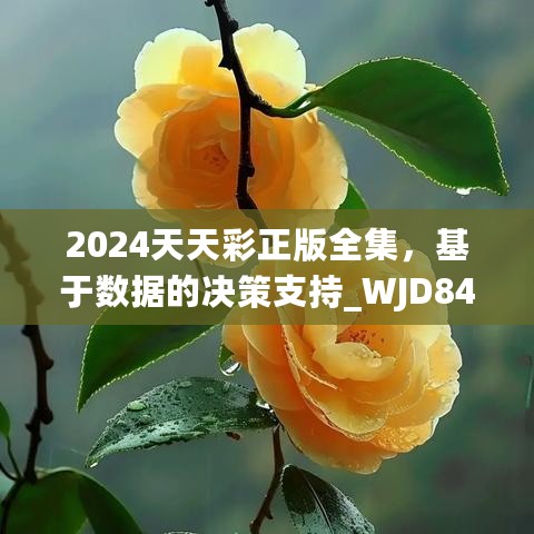 2024天天彩正版全集，基于数据的决策支持_WJD84.505亲和版