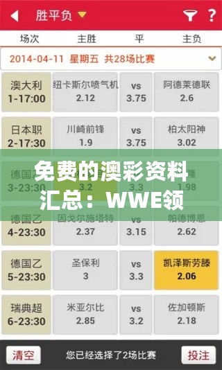 免费的澳彩资料汇总：WWE领域持续优化策略_CCN32.220天然版