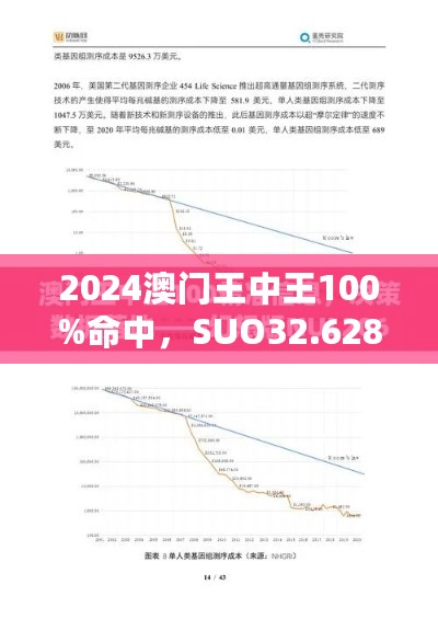 2024澳门王中王100%命中，SUO32.628超级版新型数据解析方案