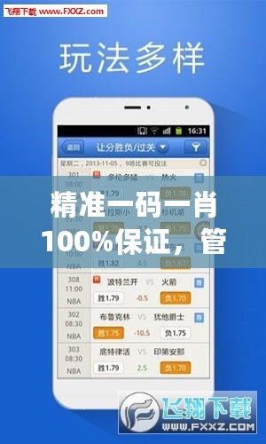 精准一码一肖100%保证，管家婆大小中特，全方位数据支持枕_DSI82.734闪电版