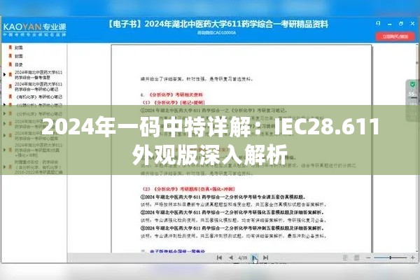 2024年一码中特详解：IEC28.611外观版深入解析