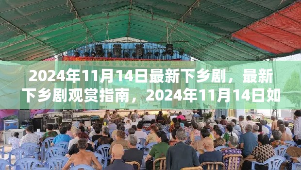 2024年最新下乡剧观赏指南，如何观看与体验