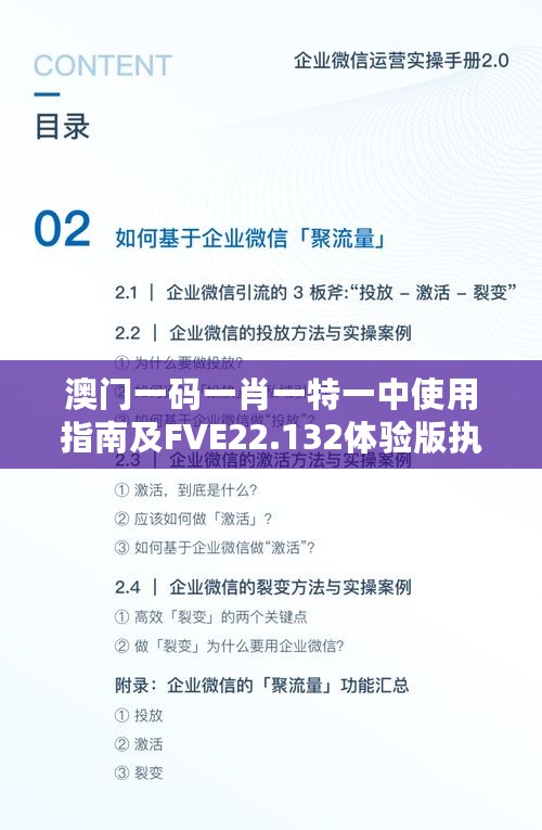 澳门一码一肖一特一中使用指南及FVE22.132体验版执行策略分析