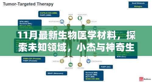 小杰与神奇生物医学材料的十一月未知领域探索之旅