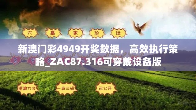 新澳门彩4949开奖数据，高效执行策略_ZAC87.316可穿戴设备版