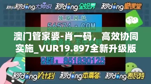 澳门管家婆-肖一码，高效协同实施_VUR19.897全新升级版