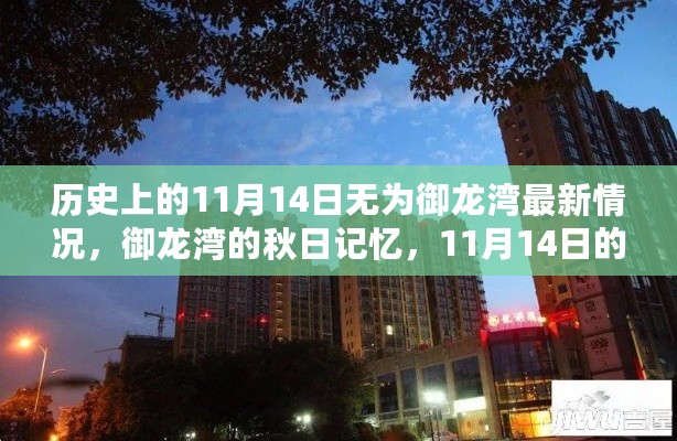 11月14日无为御龙湾秋日新貌与温馨日常记忆