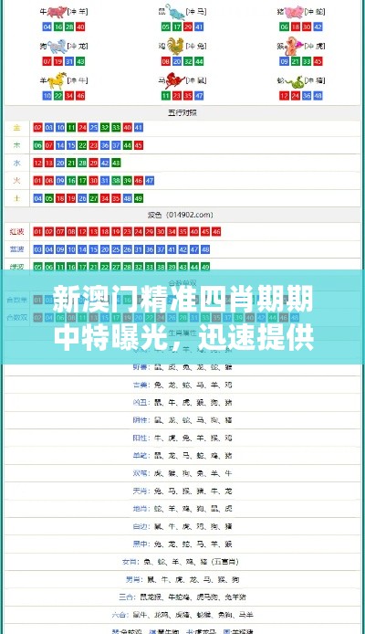 新澳门精准四肖期期中特曝光，迅速提供解决方案_PWW19.255社区版