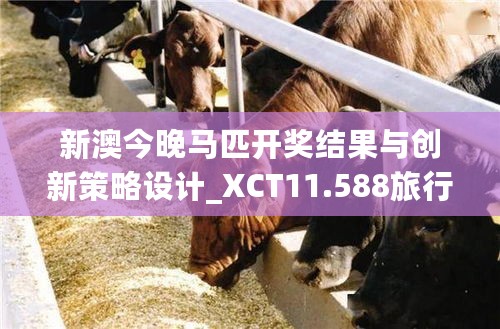 新澳今晚马匹开奖结果与创新策略设计_XCT11.588旅行者版