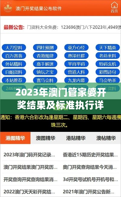 2023年澳门管家婆开奖结果及标准执行详细评估_YVE11.246声学版