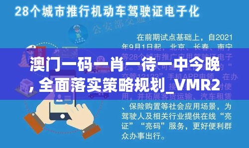 澳门一码一肖一待一中今晚, 全面落实策略规划_VMR20.895职业版