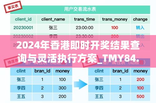 2024年香港即时开奖结果查询与灵活执行方案_TMY84.979智能版