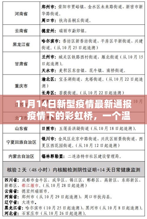 疫情下的彩虹桥，温馨日常故事与最新疫情通报